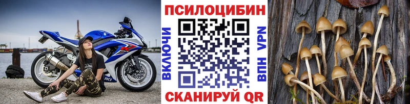 Псилоцибиновые грибы Psilocybe  Купить  Арсеньев 